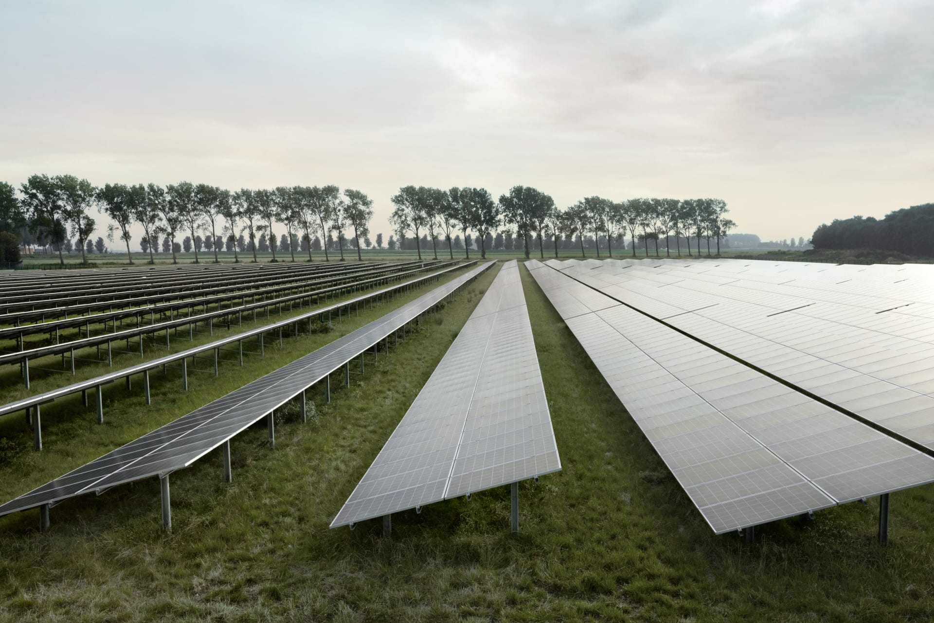 solar panels