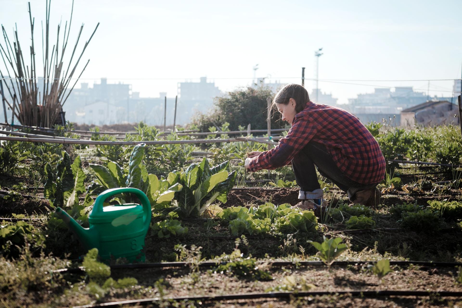 Young woman gardening in urban garden